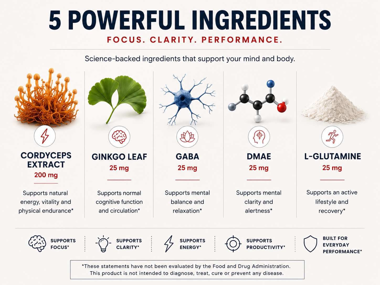 Focus Gummies